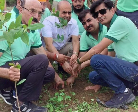 वन महोत्सव 2024 के अवसर पर किया वृक्षारोपण