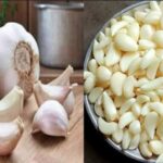 सुबह खाली पेट कच्चा लहसुन खाना कितना फायदेमंद? जानें फायदे, नुकसान और सही तरीका